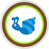 play_icon2